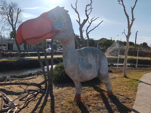 210242147_4369089129776767_3660795683332055507_n