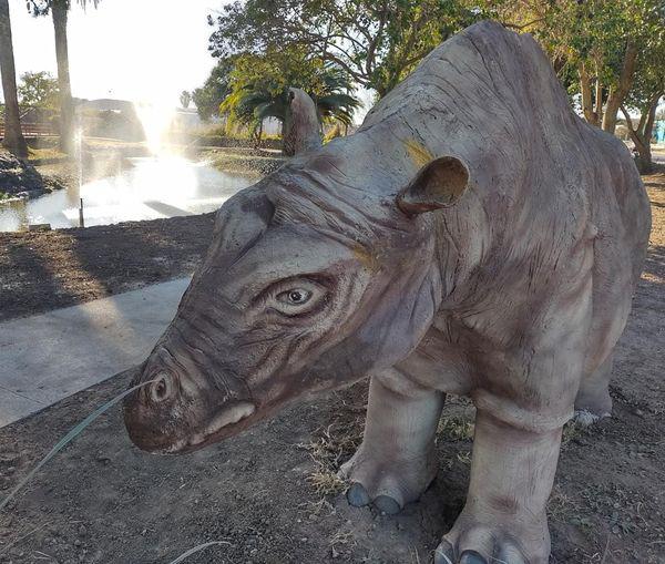 210055232_4369088836443463_2587106391151433571_n