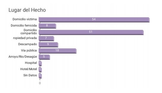 Estadística femicidios primer semestre 2019
