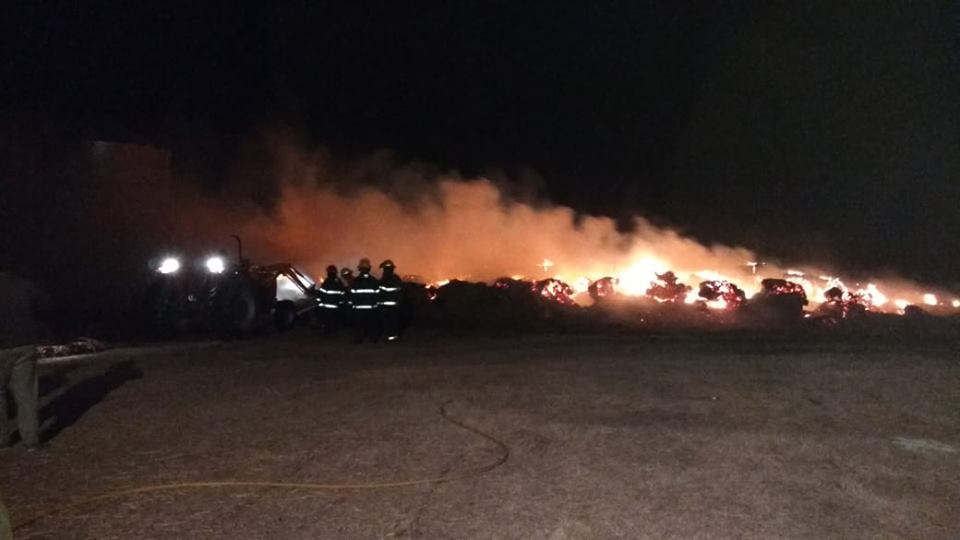 38720844_2067276879969193_3924214917166530560_n