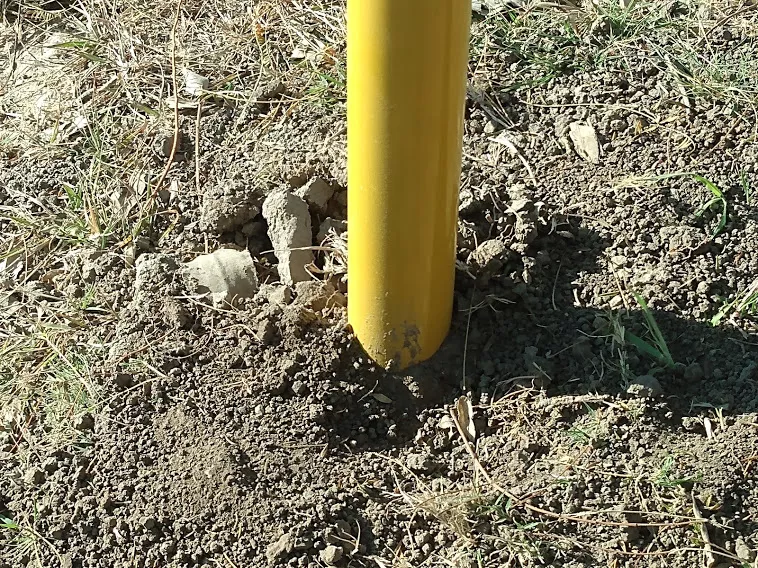 IMG_20210806_100349395