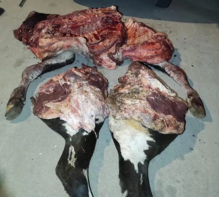 WhatsApp-Image-2022-09-04-at-21.49.55-768x689