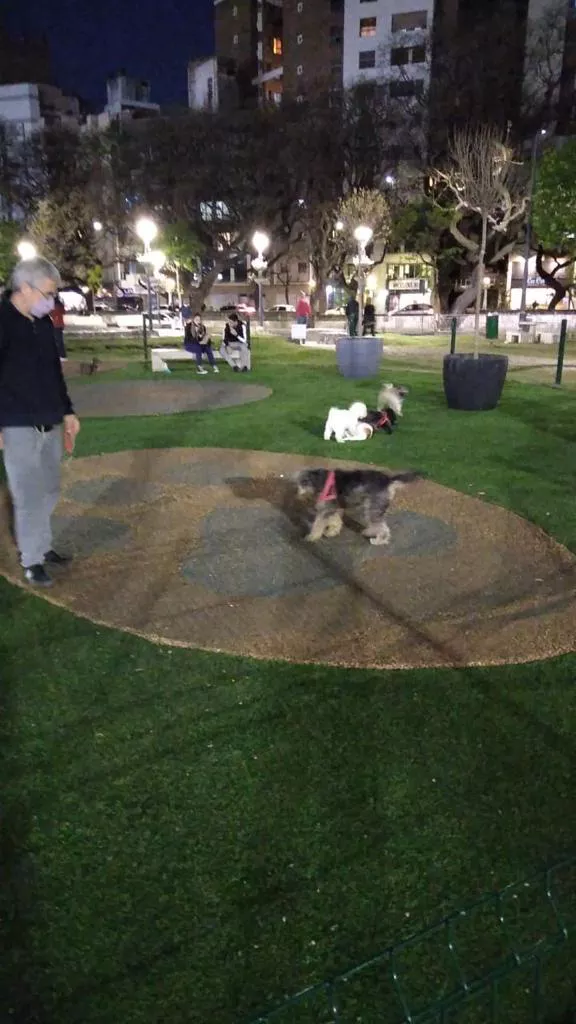 90f77f2d-0bb8-440e-be55-5e23b6e39325