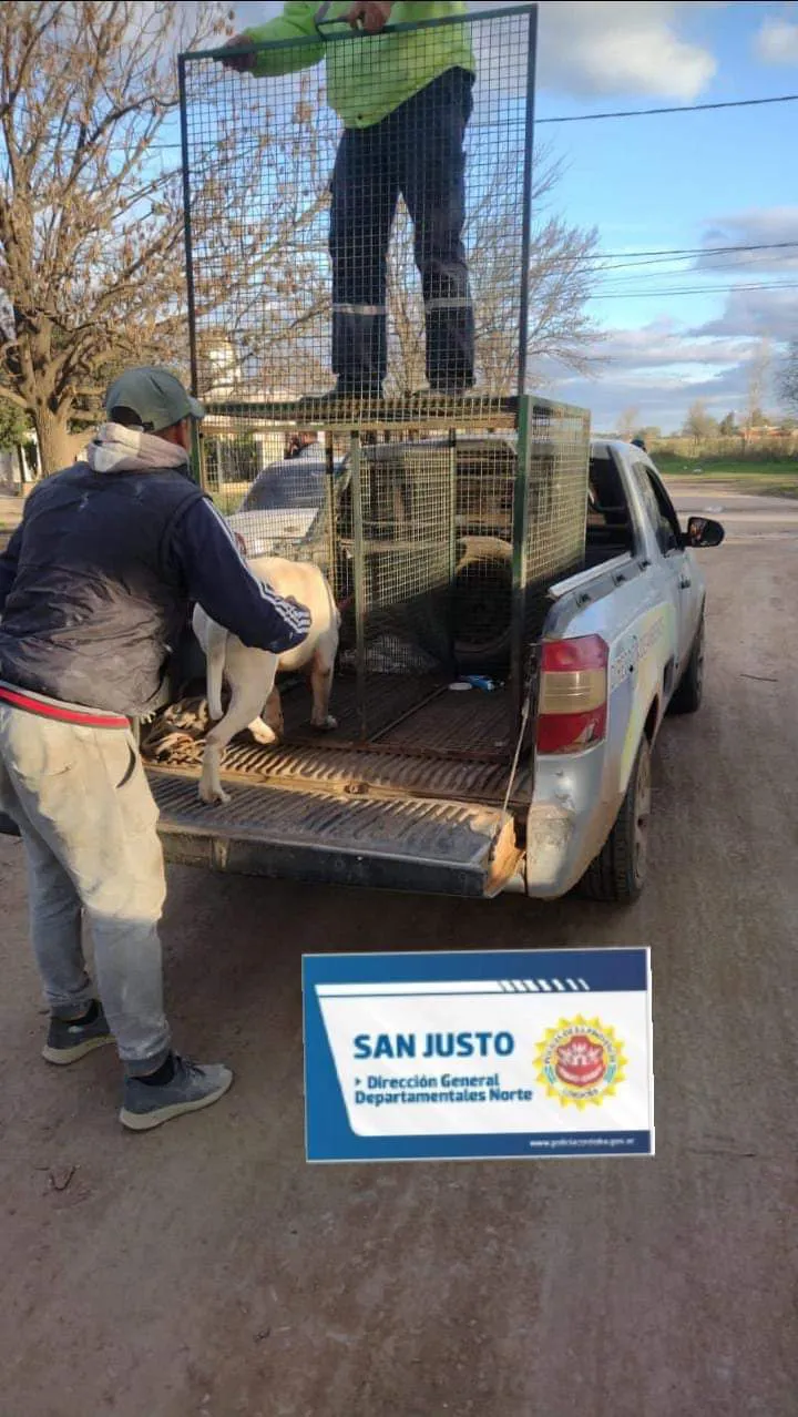 FB_IMG_1689379827491