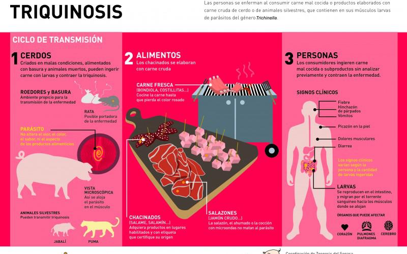 Nuestra Regi N Sacrifican Cerdos Por Brote De Triquinosis