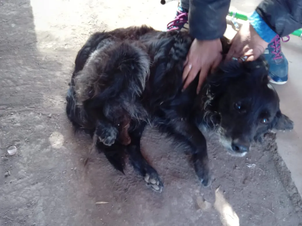 d7ca3225-7b37-469a-a462-d5e9a8181ded