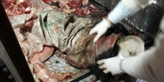 multimedia.miniatura.95897940c8d30250.6361726e65332d363630783333305f6d696e6961747572612e6a7067