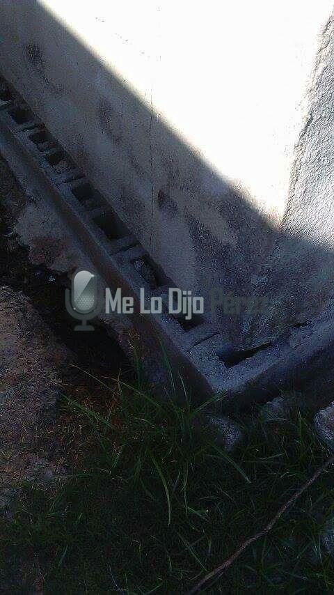 WhatsApp Image 2017-01-31 at 10.21.11 AM 