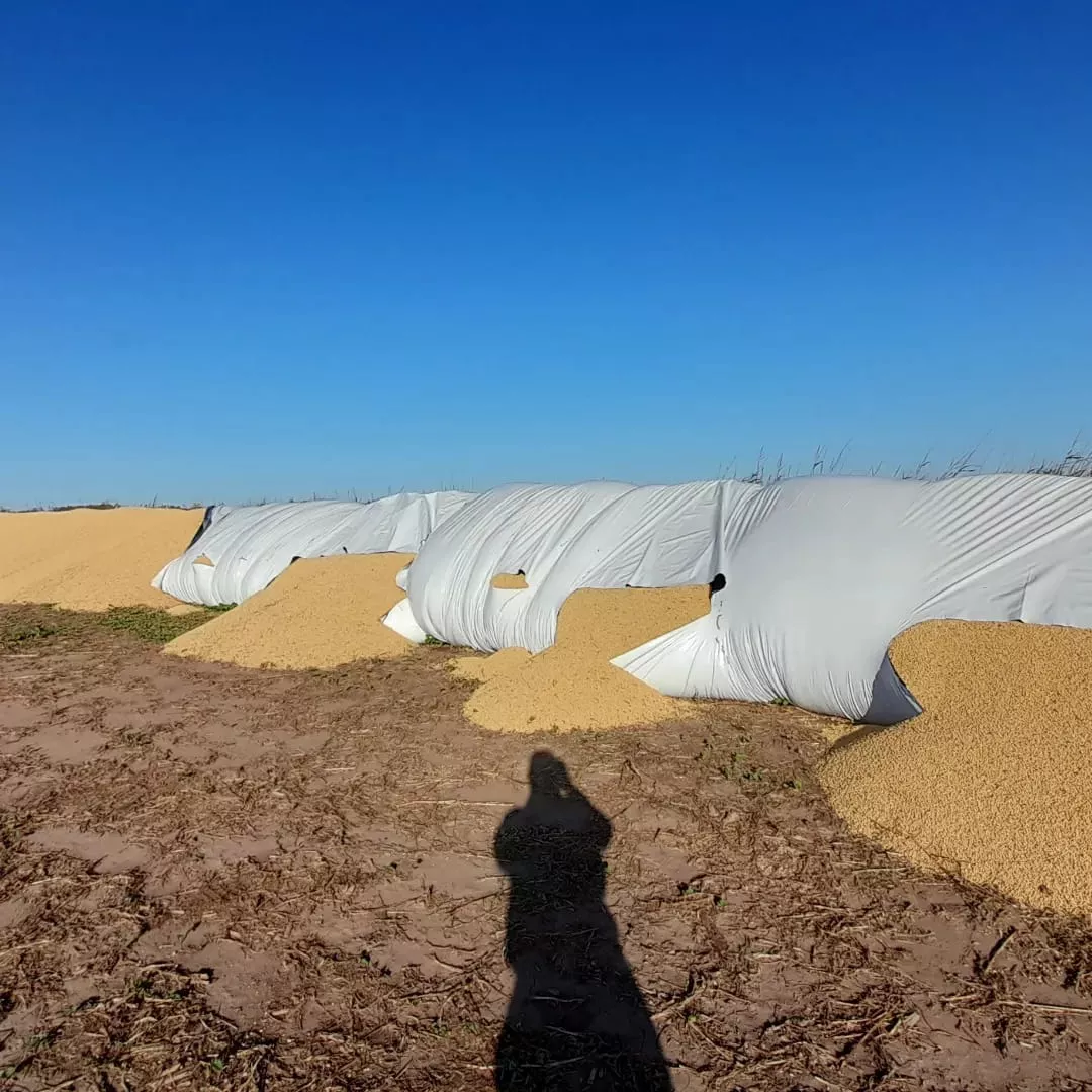 d330b005-d022-42a2-9800-b978417f2185