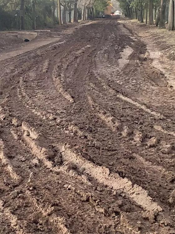 b58db490-eee1-4053-8094-bff56aa40335