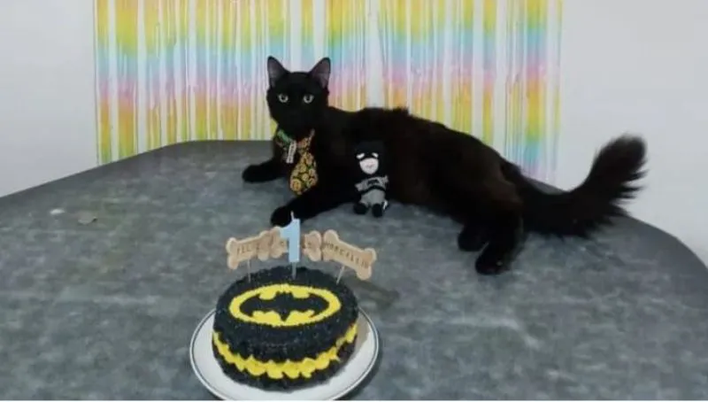 thimo-snacks-horizontal-3