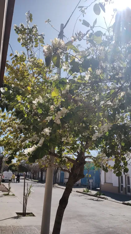 f2c7a97f-8373-4ce8-b137-0d8ecff6b22c