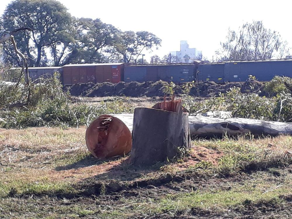 208962710_4114098532030496_1218914886191846901_n