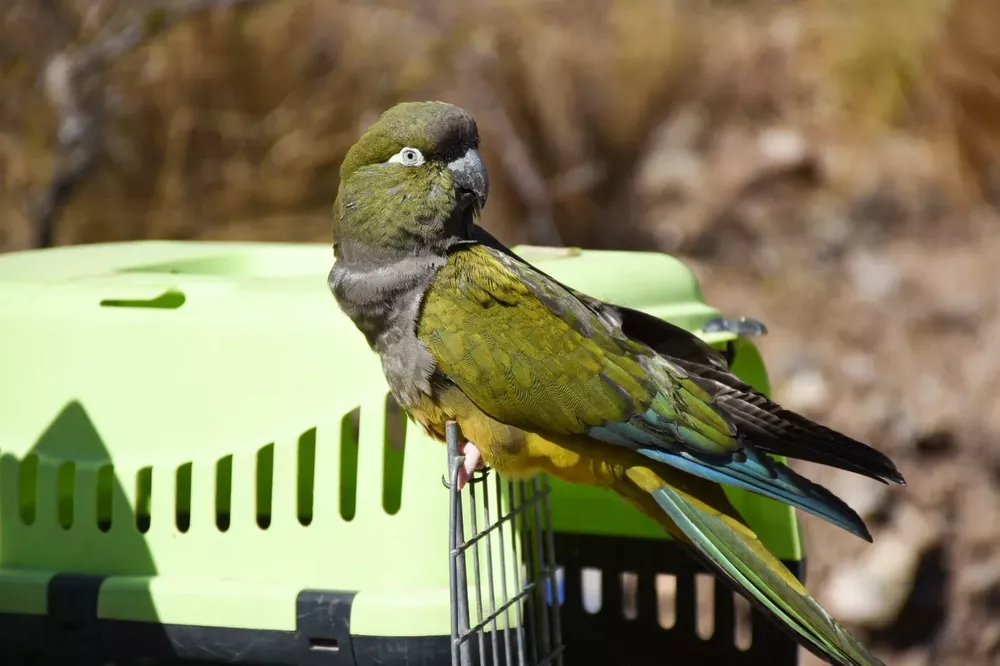 1AD0F1AD-8002-442D-B6C1-9D5B1962F04A