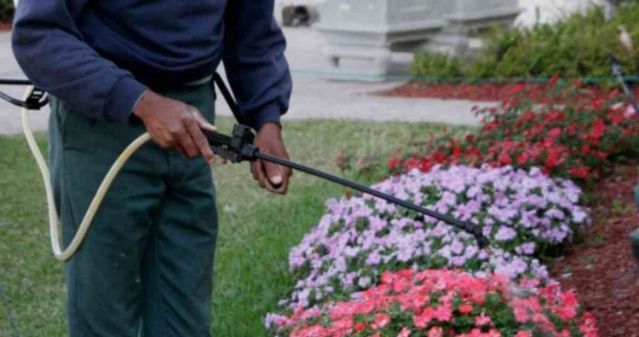 e93febfb912db6f11181eb8503475699