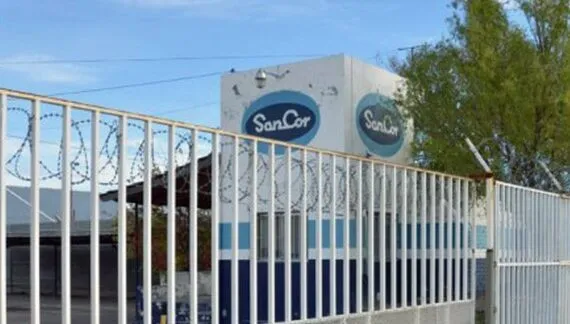 WhatsApp-Image-2025-11-07-at-10.35.09-AM-e1762524972303-570x324