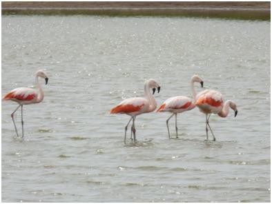 1420a89a-be5a-43b0-b54a-c2856f8beaa9