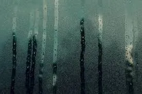 descarga (2)