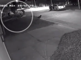 DOTOBDNSEFB2DOLNRP4U26Z33I