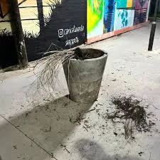 8f43d29d-6593-4629-9c18-81a46b9ea4d3