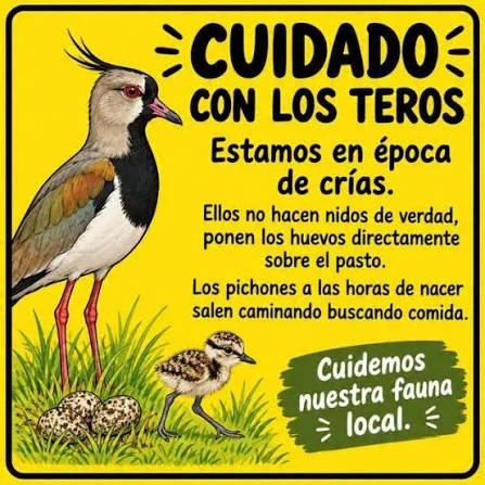 trossssssssssssssssssssssssssss