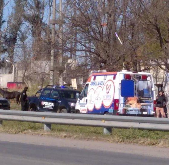 SSSSSSSSSSSSSSSSSSSSSSSSSSSSSSSSSSSSSSSSSSSSSSSSSSSSSSSSSSSSSS