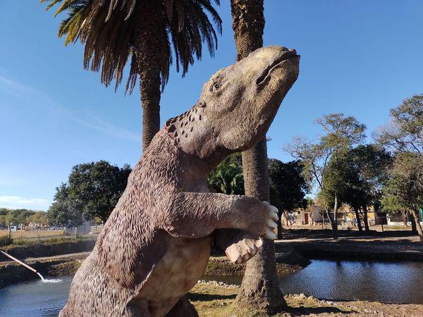 210089687_4369088796443467_679376303230130477_n