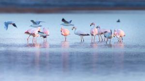 6060ca77a8897_300x168