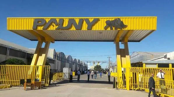 paunyyyyyyyyyyyyyyyyyyyyyyyyyyyyyyyyyy