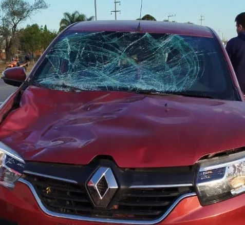 1-666f5941bfd75-7736