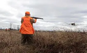 descarga (2)