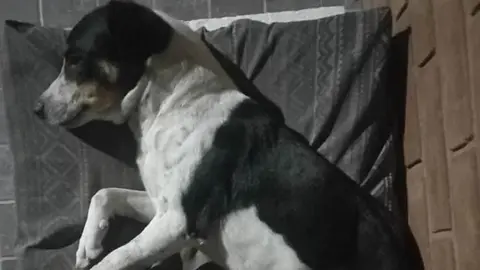 5G2HDCKZJZFXXMCAPOOW46PE34