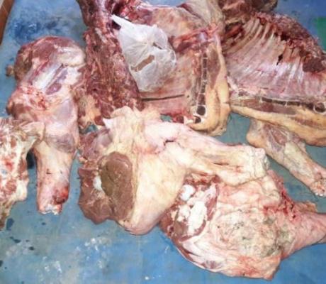 k2.items.cache.c10018f3843934a44da6fc5208ffef5b_Lnsp_158