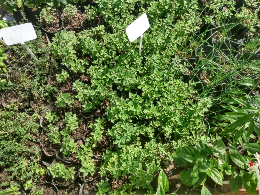 d201e359-2af2-4a38-9eda-cfba22bfd73d