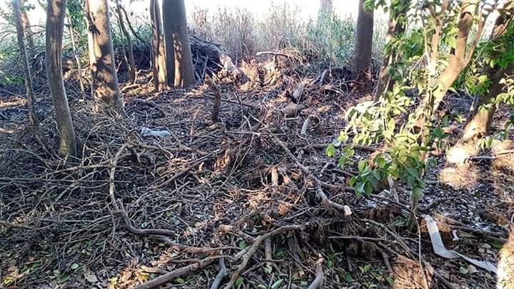 FB_IMG_1593993845027