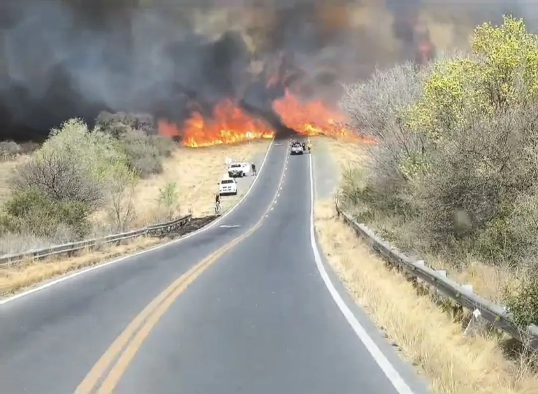 Screenshot_20240919_142403_WhatsApp