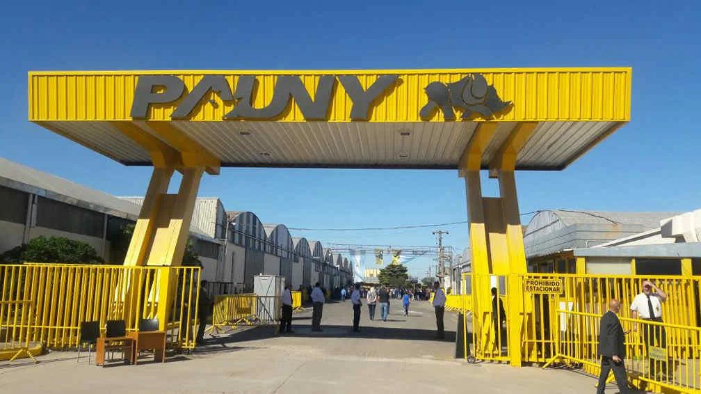 8242-pauny