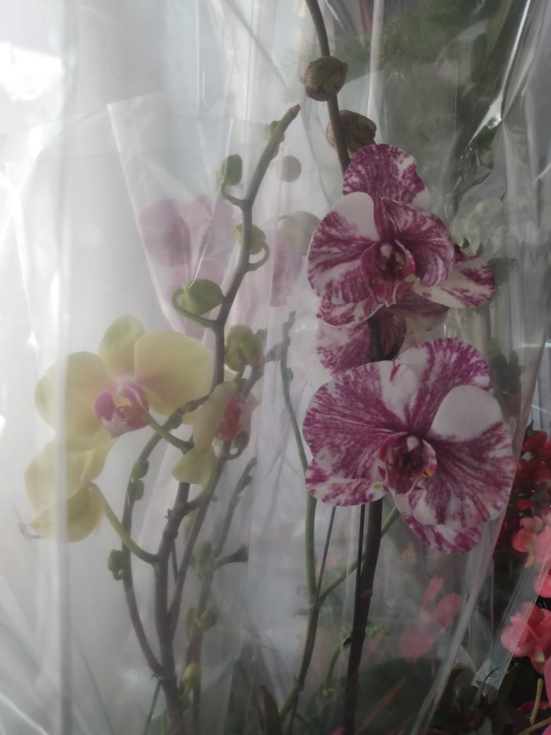 c34fd20f-f51d-4b7b-b050-7bfa5ad91c16