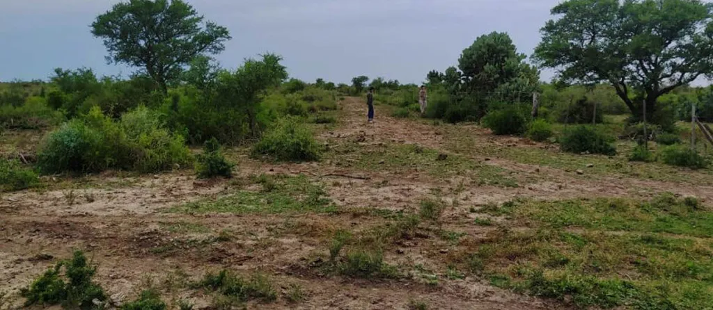 multimedia.normal.a7138728fbb8d463.RGVzbW9udGVfbm9ybWFsLndlYnA=