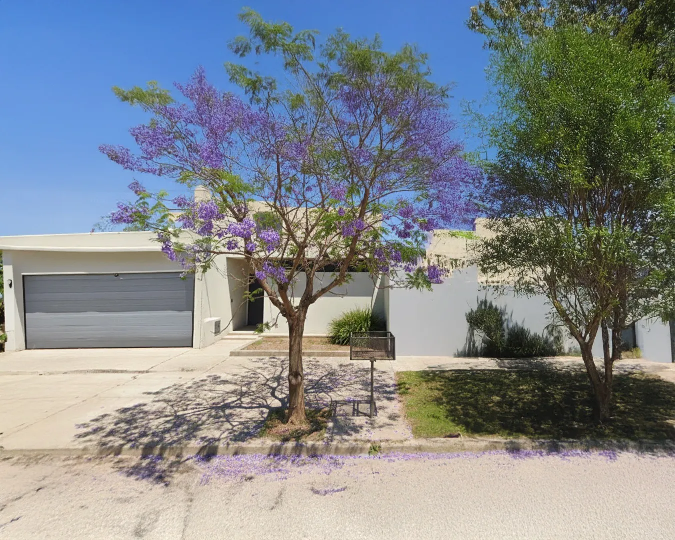 WhatsApp Image 2026-01-24 at 18.13.04