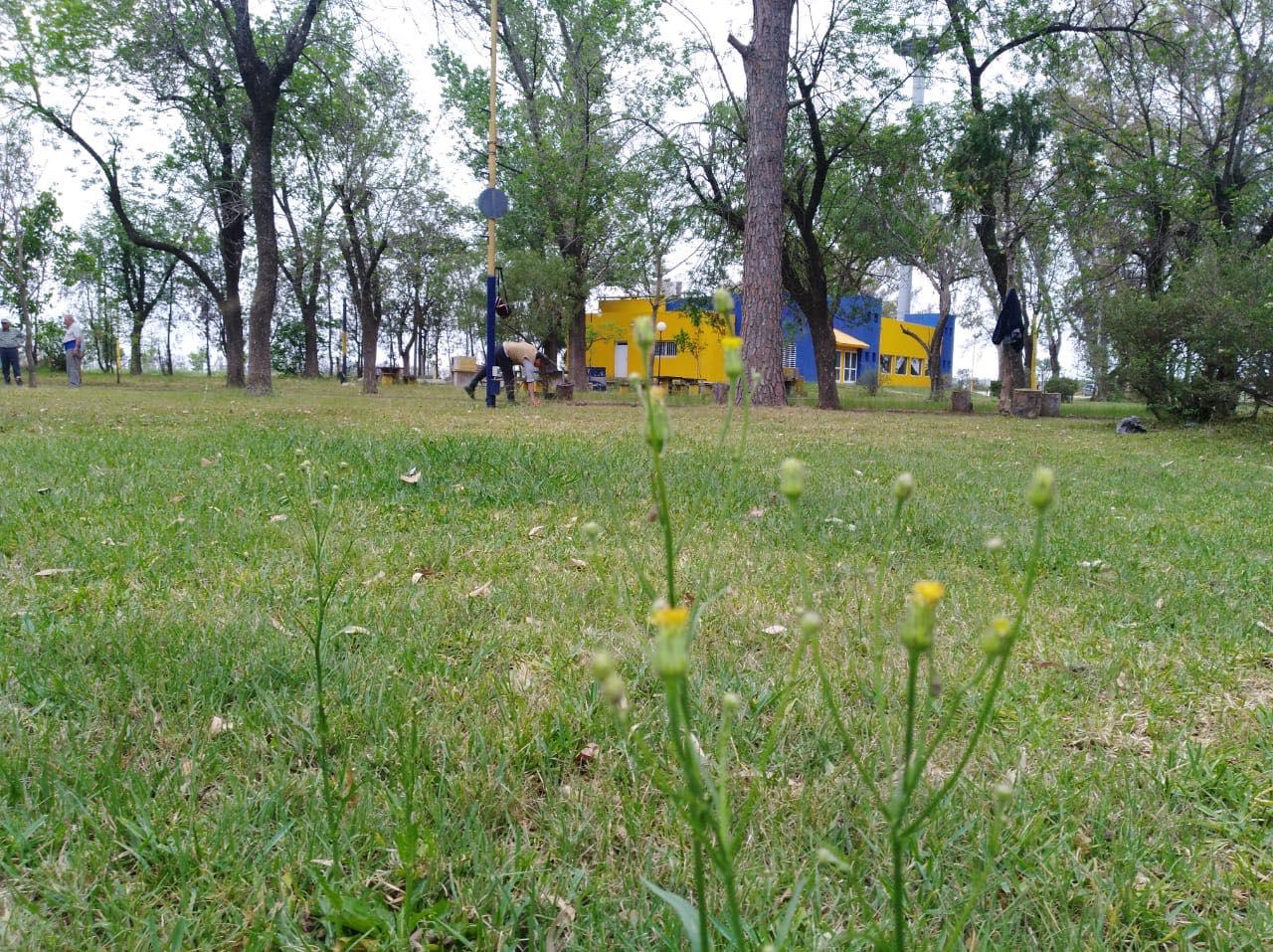 122434183_3758416844211128_9021573429314008262_o