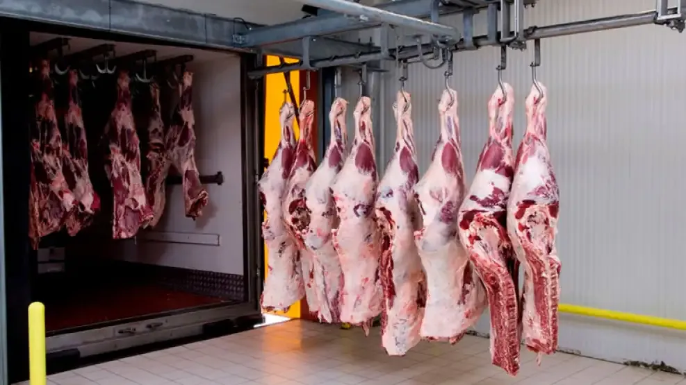industria-carnica-2008697