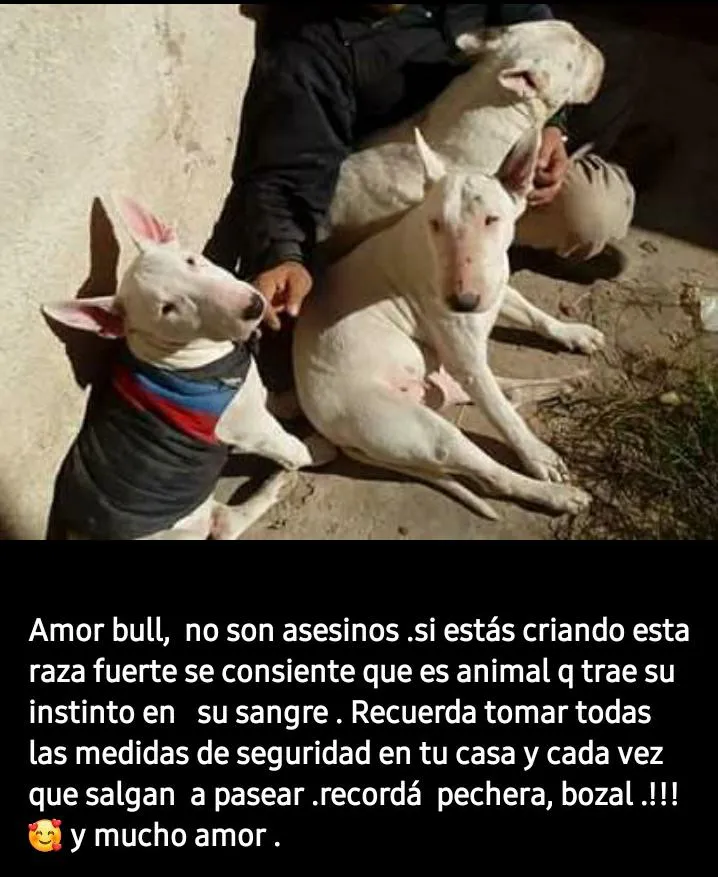 6d823757-0222-4212-89b5-54e8e11ba473