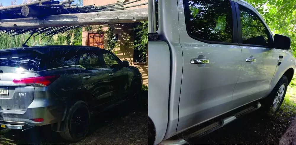 camionetaS ZOE