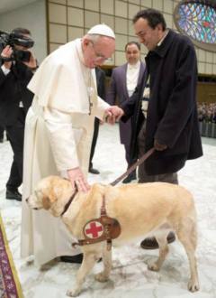 papafranciscobendiceperro