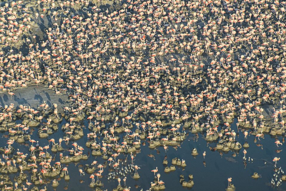 84419159_2508610922582664_3618716908469092352_n