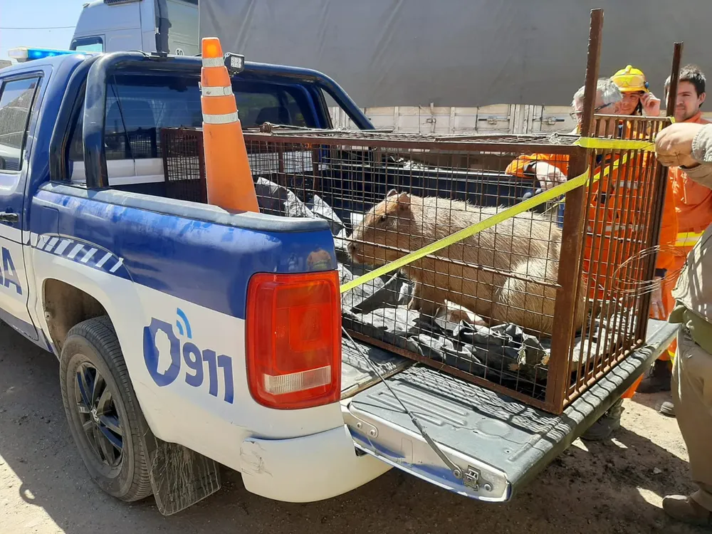 IMG-20231014-WA0003(1)