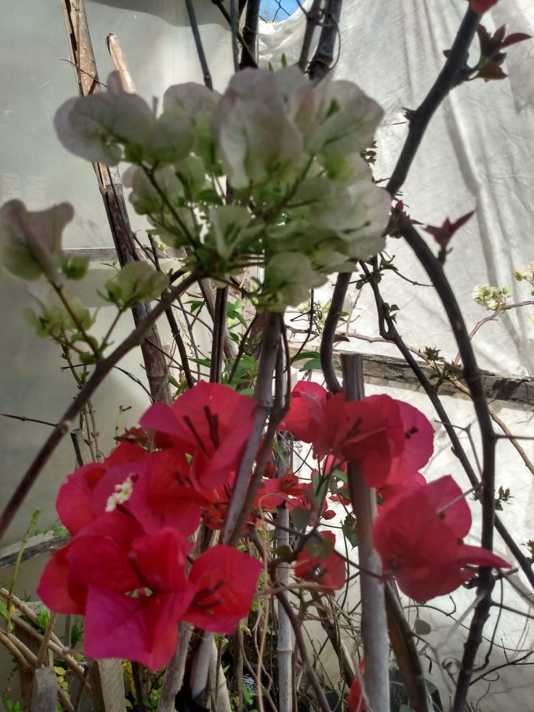 8462bf07-92d8-44e8-87ff-a2aed262cd62