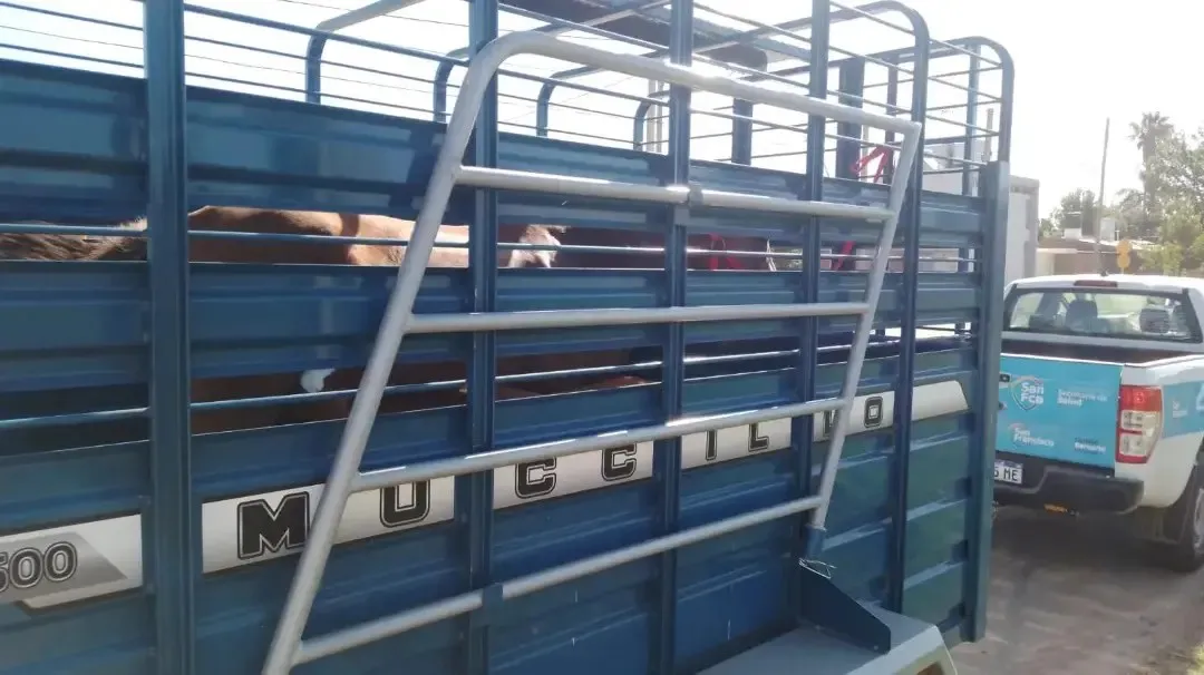 416903240_754011513427447_6184501944832519880_n