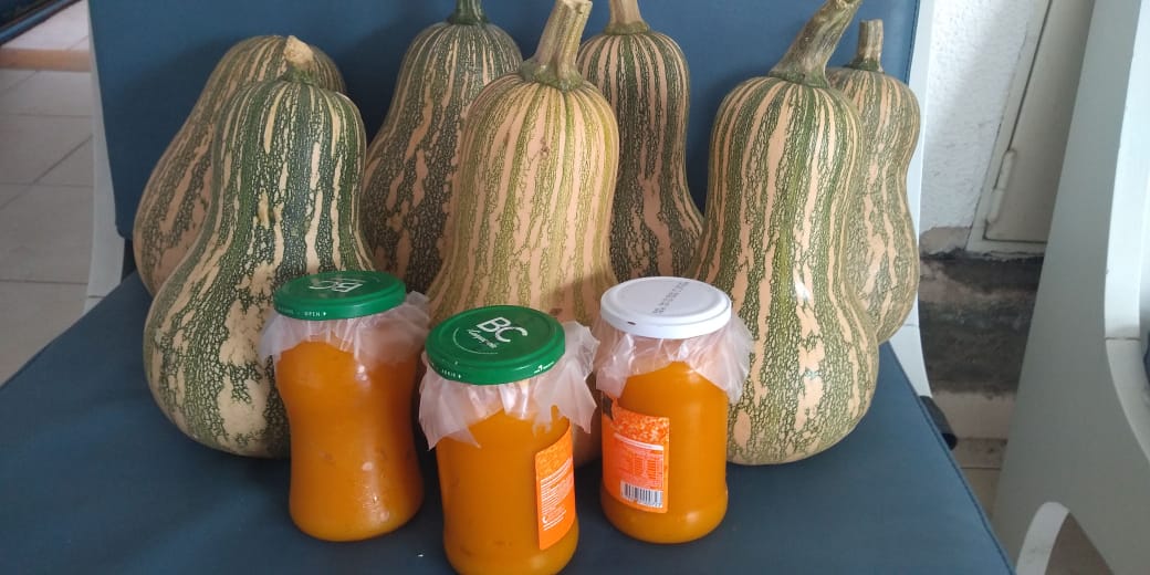 11d05d77-ad28-4587-b53c-6a1861f56a9e